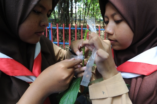 Hari Pohon Sedunia, Karang Taruna Tani Ajarkan Teknik Merawat Tanaman