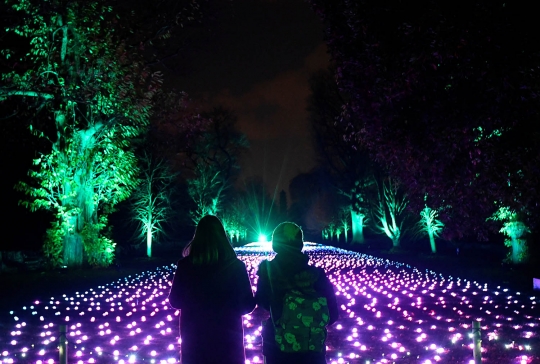 Sambut Natal, Ribuan Cahaya Lampu Warna-Warni Hiasi Kew Gardens di London
