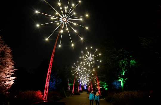 Sambut Natal, Ribuan Cahaya Lampu Warna-Warni Hiasi Kew Gardens di London