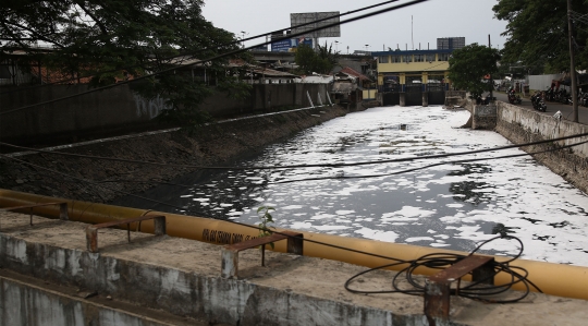 61 Persen Aliran Sungai di Jakarta Mengalami Pencemaran Berat