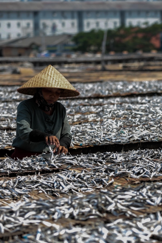 Memasuki Musim Hujan, Produksi Ikan Asin Menurun