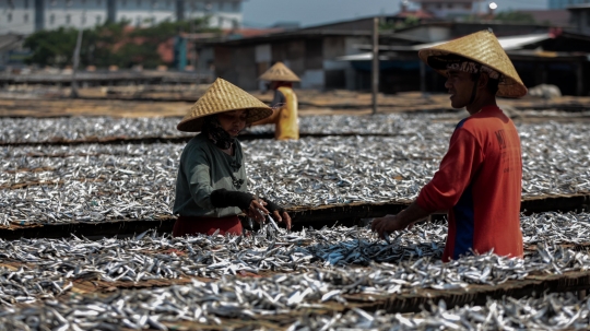 Memasuki Musim Hujan, Produksi Ikan Asin Menurun