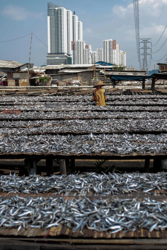 Memasuki Musim Hujan, Produksi Ikan Asin Menurun