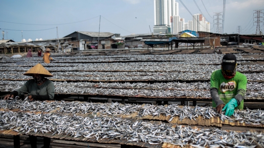 Memasuki Musim Hujan, Produksi Ikan Asin Menurun