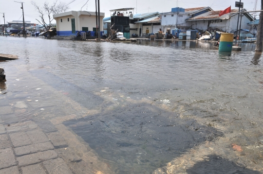 Banjir Rob Genangi Muara Baru