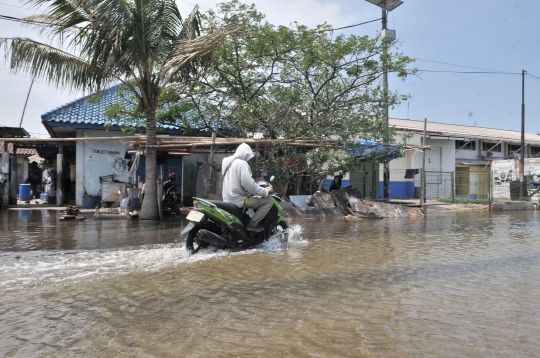 Banjir Rob Genangi Muara Baru