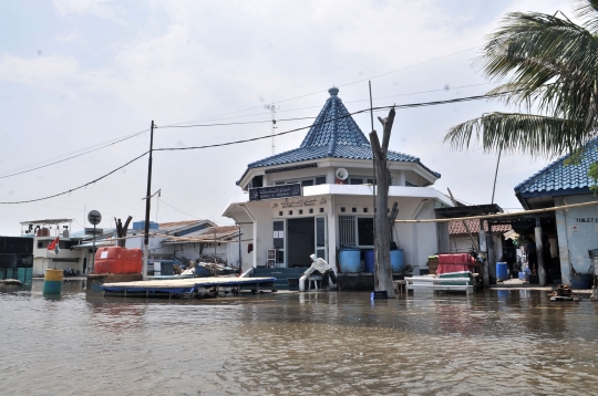 Banjir Rob Genangi Muara Baru