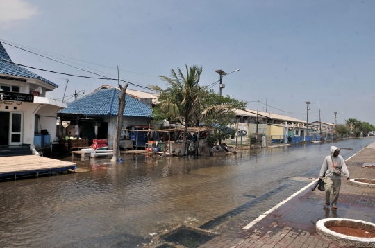 Banjir Rob Genangi Muara Baru