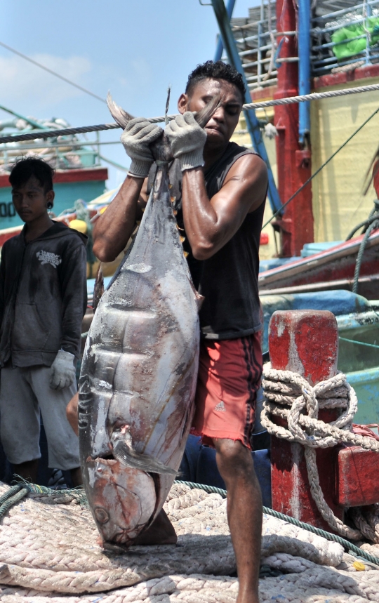 Cuaca Buruk, Tangkapan Ikan Nelayan Muara Baru Menurun