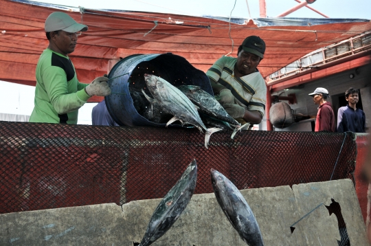 Cuaca Buruk, Tangkapan Ikan Nelayan Muara Baru Menurun