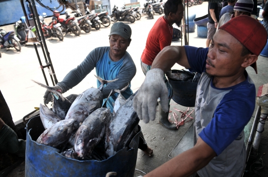 Cuaca Buruk, Tangkapan Ikan Nelayan Muara Baru Menurun