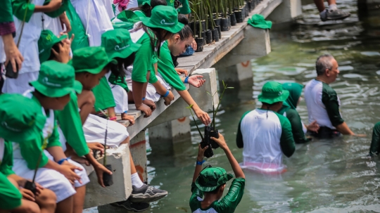 Antusiasme Anak-anak SD Tanam 100.000 Mangrove di Labirin Pulau Pramuka