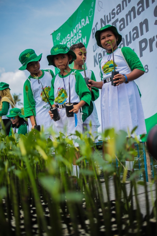 Antusiasme Anak-anak SD Tanam 100.000 Mangrove di Labirin Pulau Pramuka