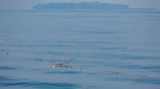 Perairan Kepulauan Seribu Kotor Oleh Sampah Kiriman