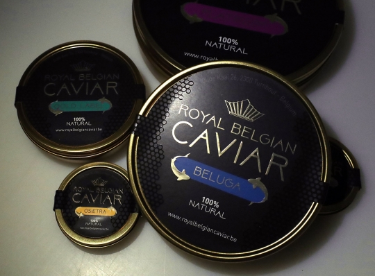 Intip Proses Produksi Kaviar, Telur Ikan yang Bernilai Jual Tinggi