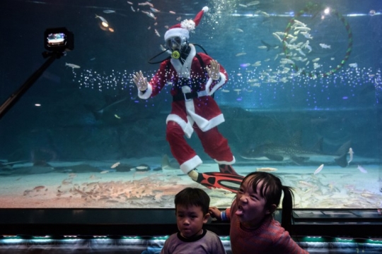 Meriahkan Natal, Sinterklas di Korsel Berenang Bareng Ikan