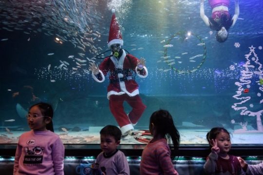 Meriahkan Natal, Sinterklas di Korsel Berenang Bareng Ikan