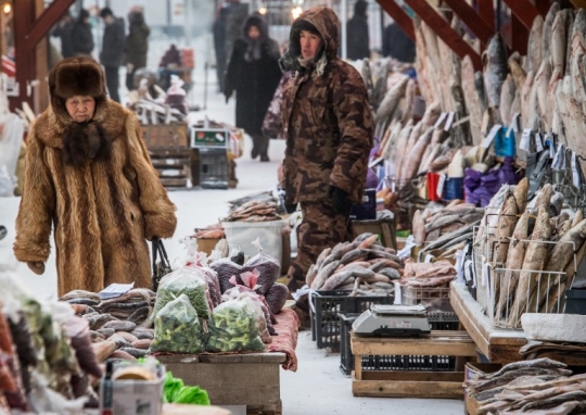 Mengunjungi Pasar Bersuhu Minus 35 Derajat Celcius