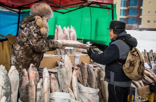 Mengunjungi Pasar Bersuhu Minus 35 Derajat Celcius