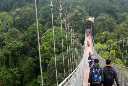 Menikmati Kesejukan Udara Berkabut di Jembatan Gantung Terpanjang se-Indonesia