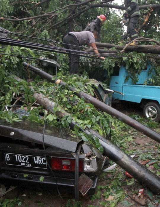 Pohon Tumbang Timpa Sejumlah Mobil di Ciputat