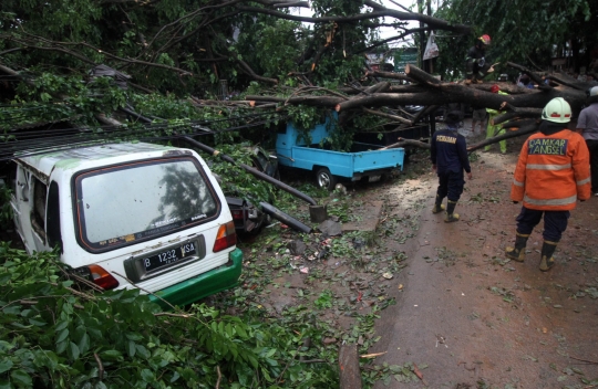 Pohon Tumbang Timpa Sejumlah Mobil di Ciputat