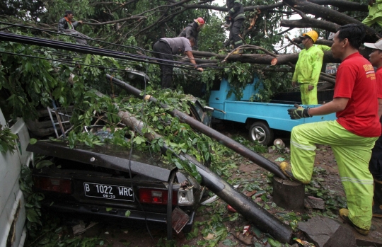 Pohon Tumbang Timpa Sejumlah Mobil di Ciputat