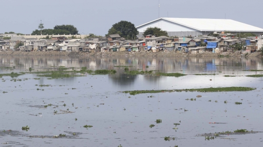 Kurang Perawatan, Eceng Gondok Kembali Tumbuh di Waduk Pluit