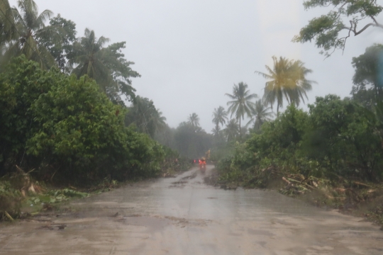 Pascadihantam Tsunami, Jalanan ke Ujung Kulon Dipenuhi Pepohonan dan Lumpur