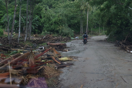 Pascadihantam Tsunami, Jalanan ke Ujung Kulon Dipenuhi Pepohonan dan Lumpur