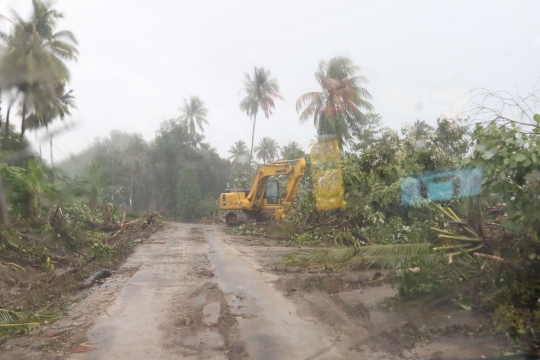 Pascadihantam Tsunami, Jalanan ke Ujung Kulon Dipenuhi Pepohonan dan Lumpur