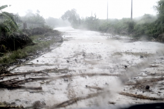 Pascadihantam Tsunami, Jalanan ke Ujung Kulon Dipenuhi Pepohonan dan Lumpur