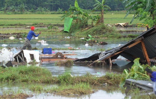 Hari Ketiga Pascatsunami, Warga Cari Barang-Barang yang Terdampar Hingga ke Sawah