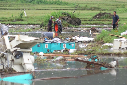 Hari Ketiga Pascatsunami, Warga Cari Barang-Barang yang Terdampar Hingga ke Sawah