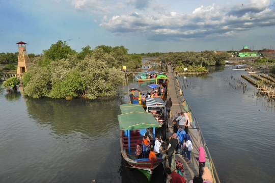 Menikmati Wisata Hutan Mangrove di Bekasi