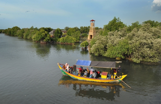 Menikmati Wisata Hutan Mangrove di Bekasi
