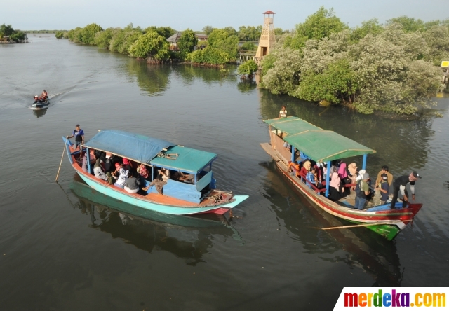 Foto Menikmati Wisata Hutan Mangrove Di Bekasi Merdeka Com