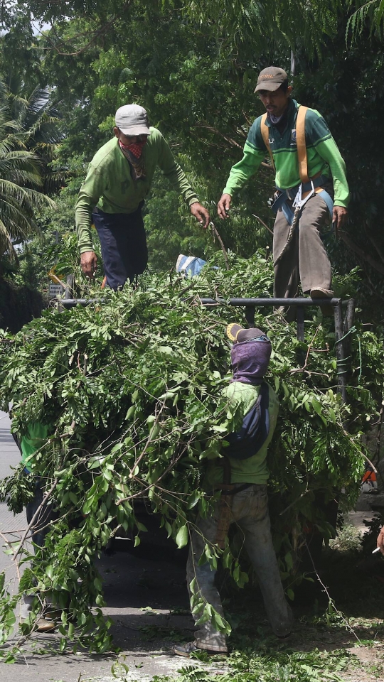 Antisipasi Musim Hujan dan Angin Kencang, Petugas Pangkas Pohon di Lenteng Agung