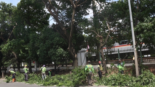 Antisipasi Musim Hujan dan Angin Kencang, Petugas Pangkas Pohon di Lenteng Agung