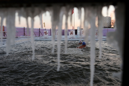 Dinginnya Berenang di Sungai Membeku Saat Festival Es Harbin