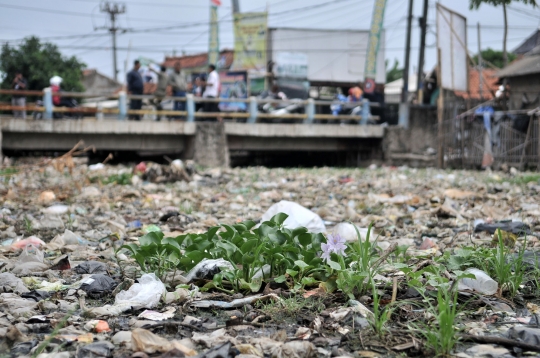 Penampakan Kali Tarumajaya yang Dipenuhi Sampah