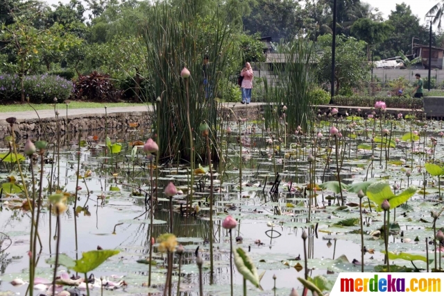 Foto Menikmati Hari Libur Di Taman Piknik Jakarta Merdekacom