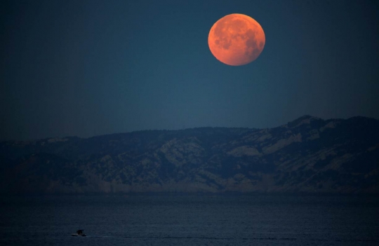 Fenomena Super Blood Wolf Moon di Sejumlah Negara