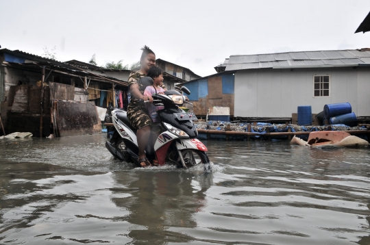 Hampir Sepekan Banjir Rob Genangi Kawasan Muara Angke