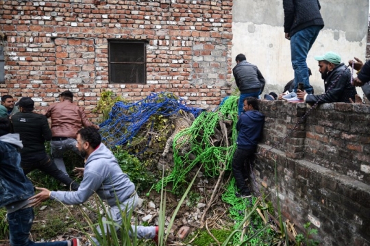 Momen Mencekam Saat Macan Tutul Serang Desa di India