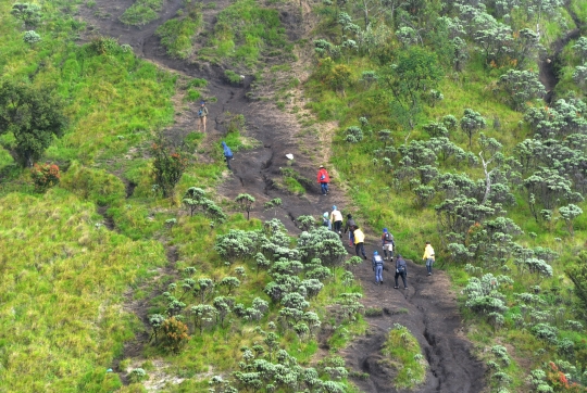 Libur Kejepit Imlek Dimanfaatkan Warga Mendaki Merbabu