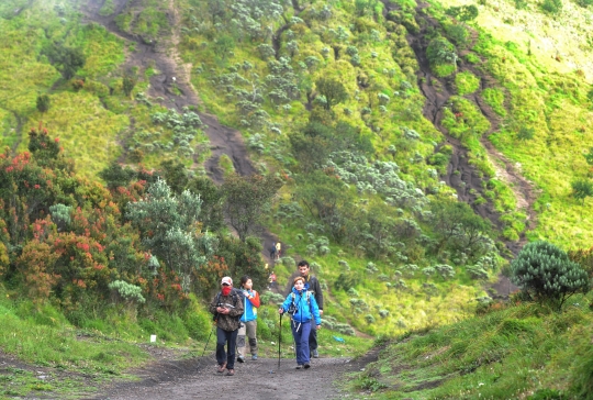 Libur Kejepit Imlek Dimanfaatkan Warga Mendaki Merbabu