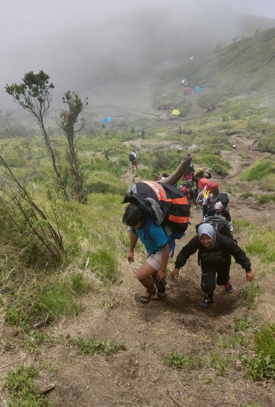 Libur Kejepit Imlek Dimanfaatkan Warga Mendaki Merbabu