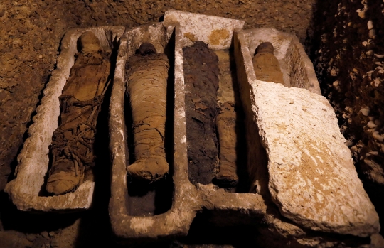 Pemakaman Makam Kuno Berisi 50 Mumi di Mesir