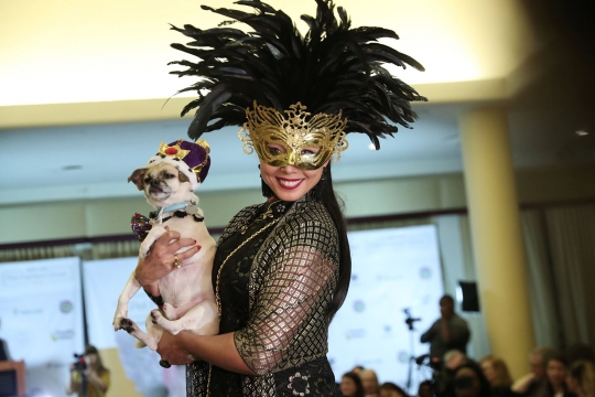 Dandanan Lucu Anjing di Pet Fashion Show